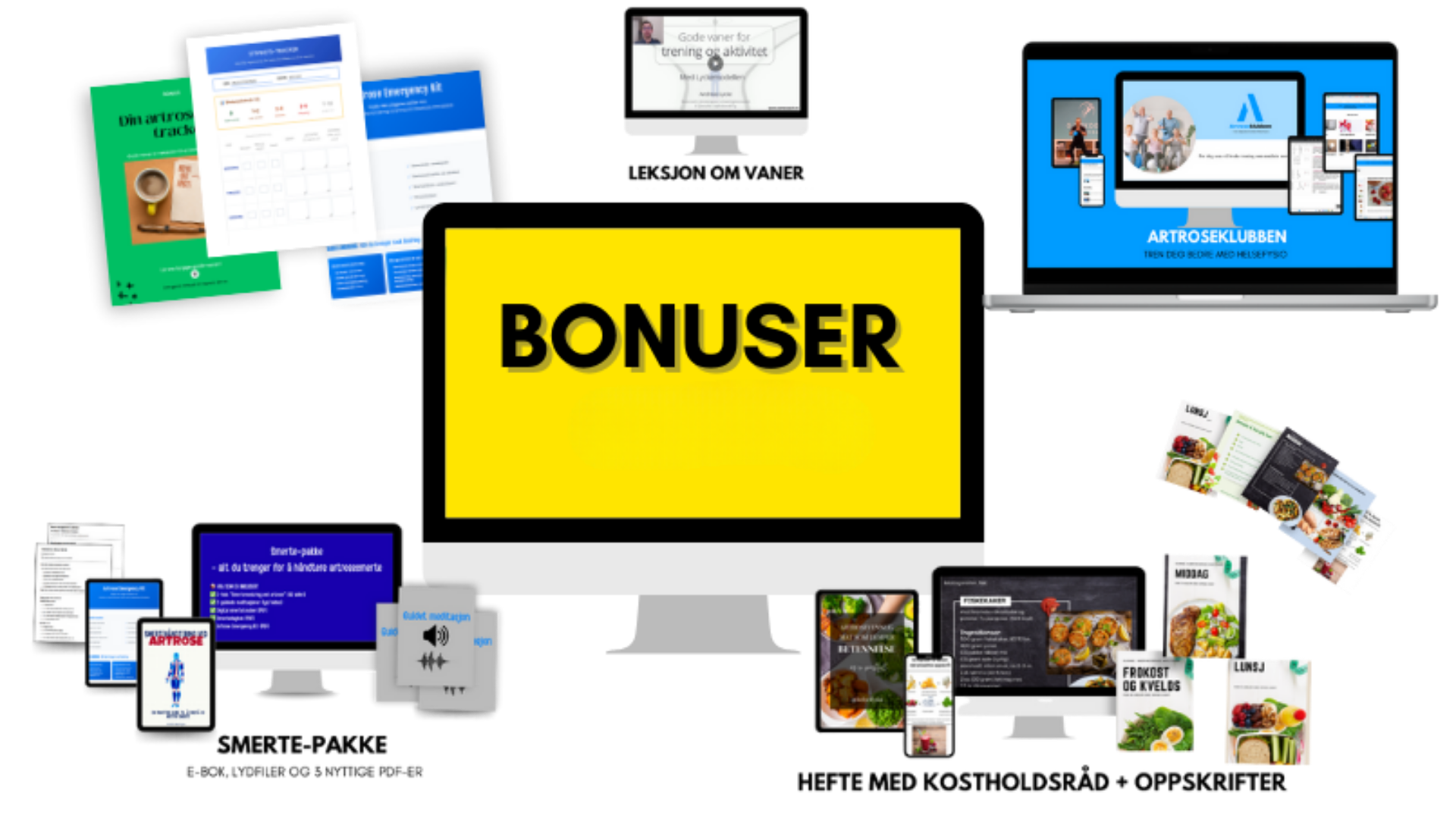 TA KONTROLL PÅ ARTROSEN (nytt webinar 2026 septokt) Emelie TWR Webinar Template (4)